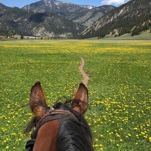 Meet your Posher, Christi